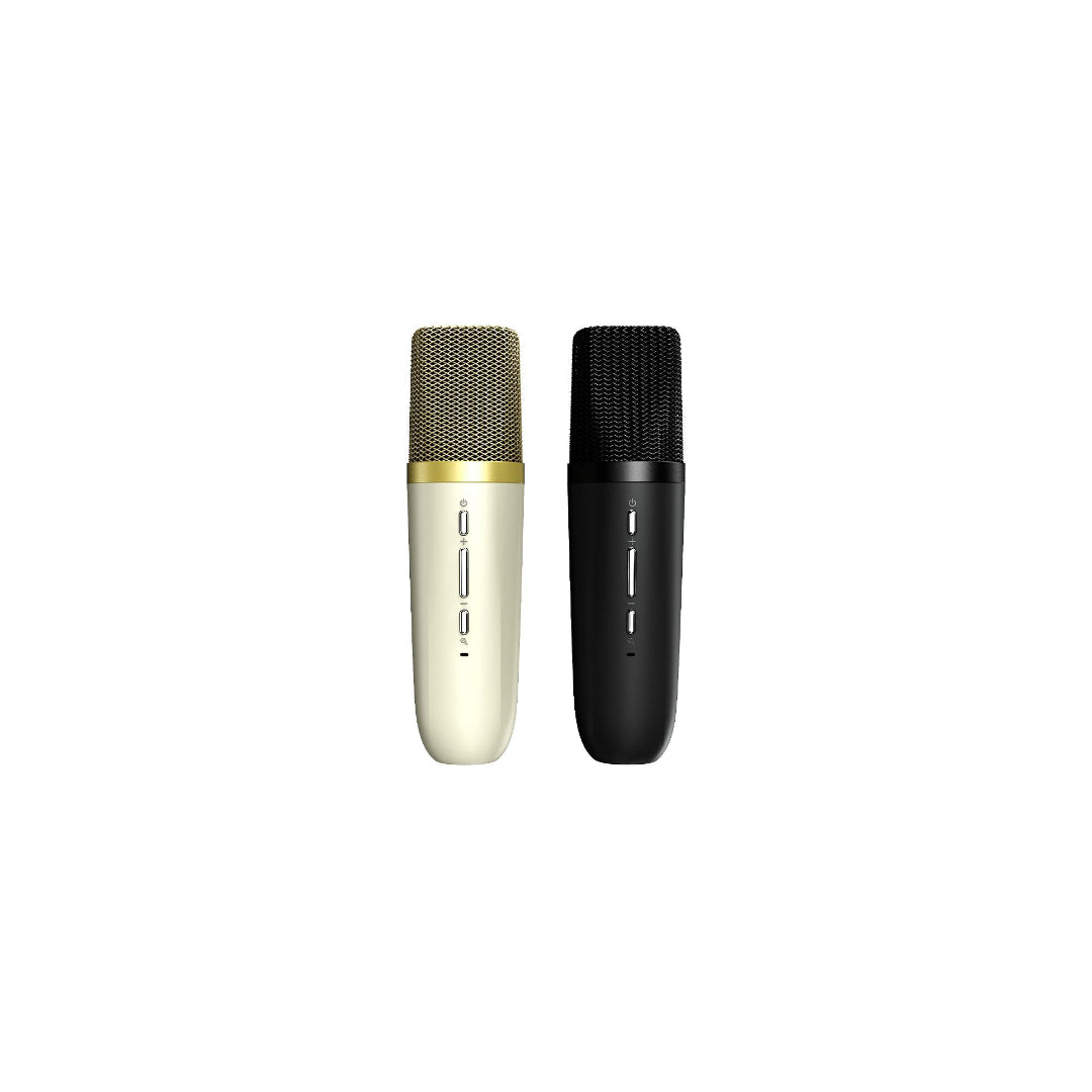 HiFuture Speaker Vocalist 100 25W 3600Mah