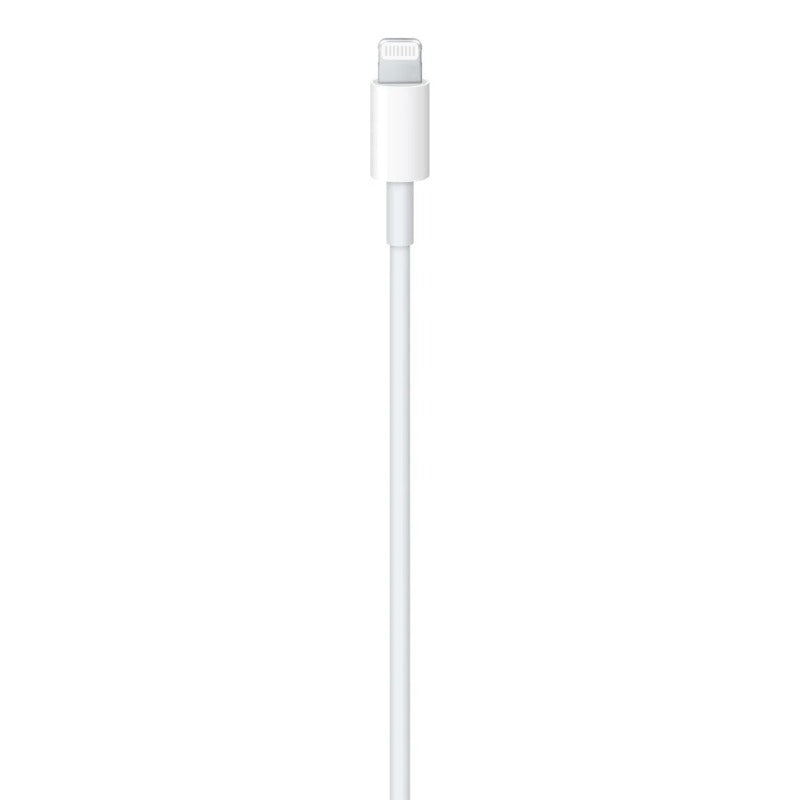 Apple USB C to Lightning Cable 1M