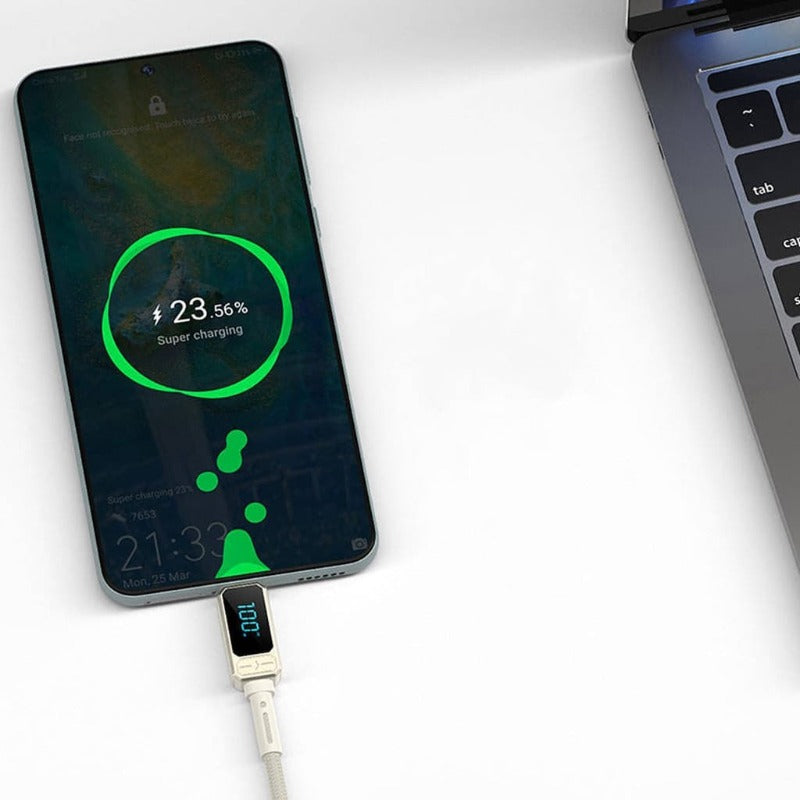 Wiwu Wi-C038 Titan 100W Type-C to Type-C Fast Charging Cable 1.2m - Titanium Alloy