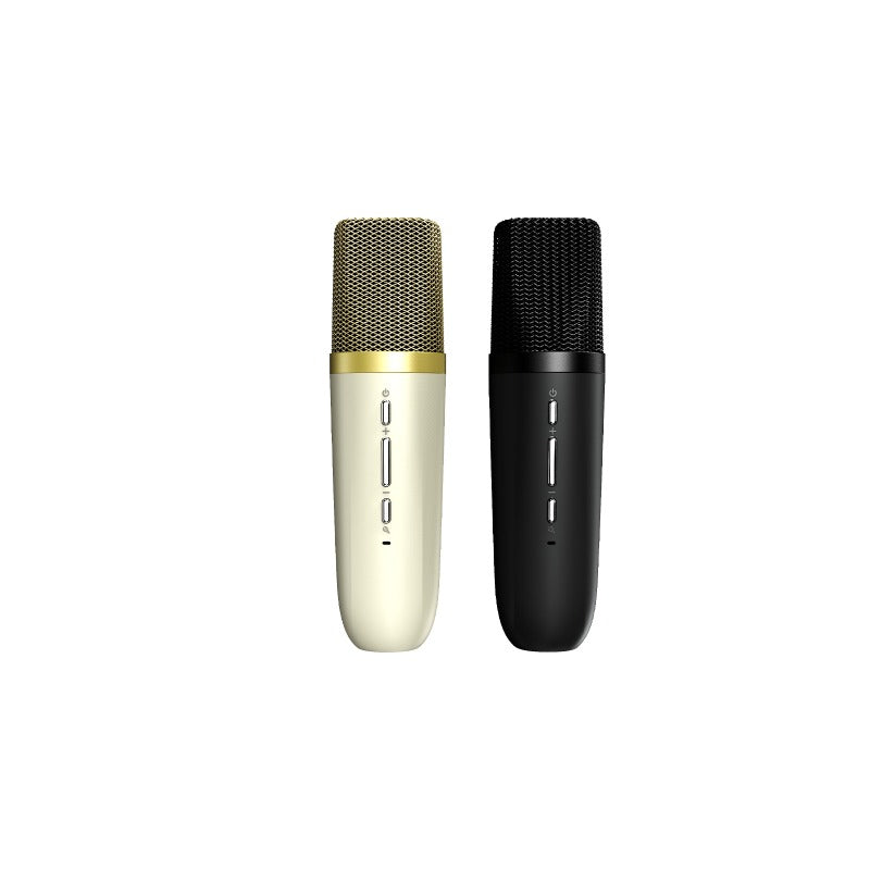 HiFuture Speaker Vocalist100 20w, Color - Black