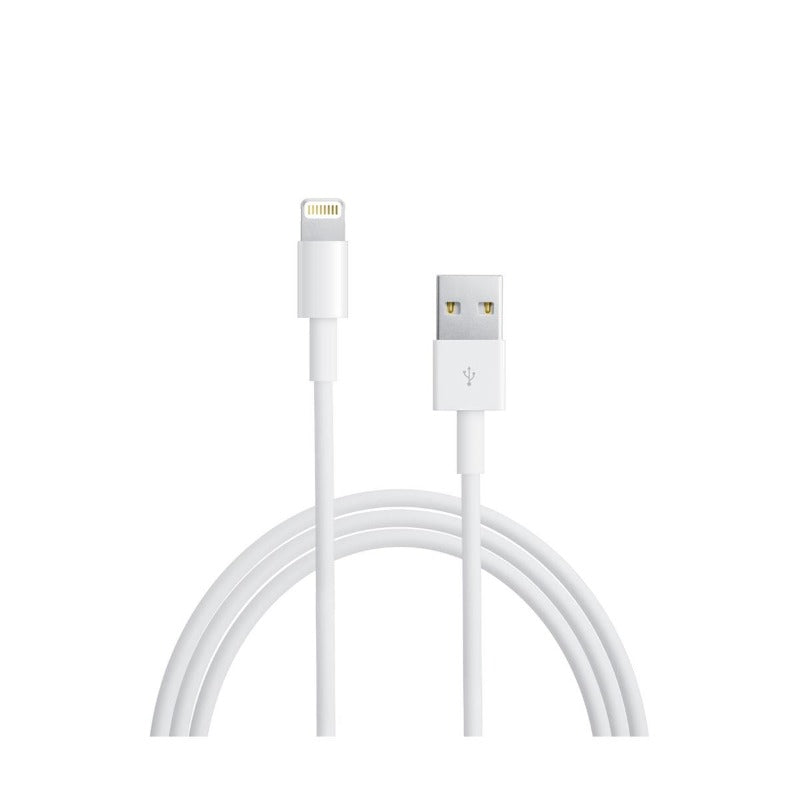 Apple Lightning to USB Cable 2M