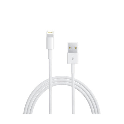 Apple Lightning to USB Cable 2M