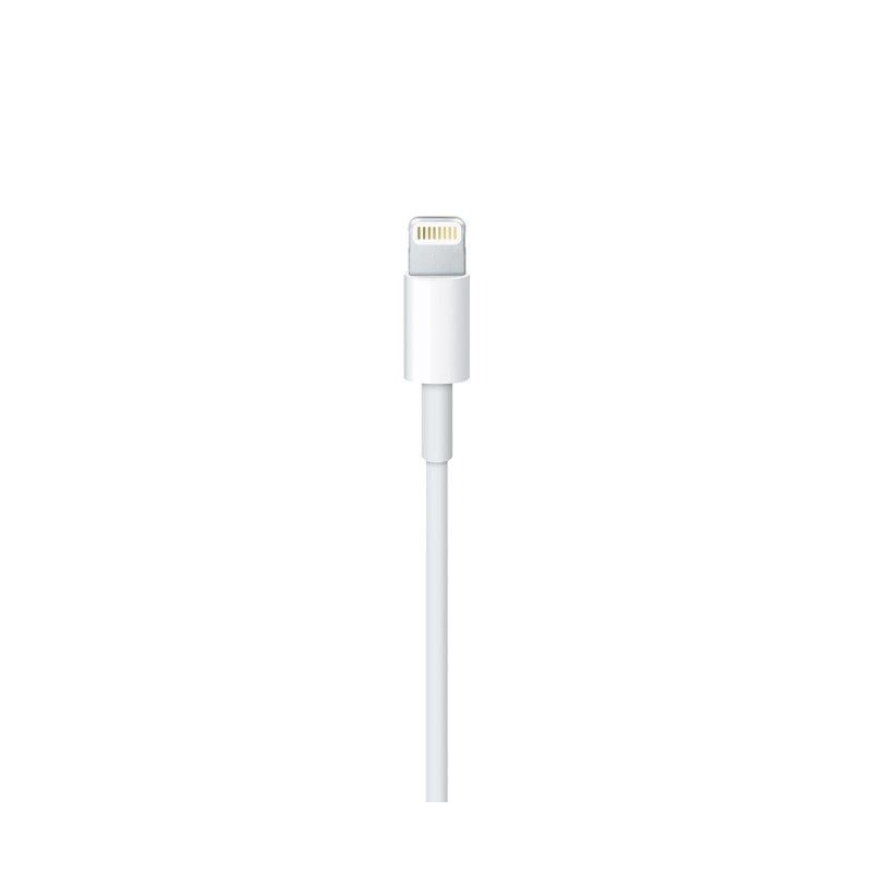 Apple Lightning to USB Cable 2M