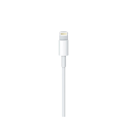 Apple Lightning to USB Cable 2M